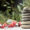 accompagnement holistique,blocages émotionnels,confiance en soi,transformation intérieure,soins énergétiques,énergéticienne,reconnexion à soi,thérapie holistique,thérapie brève,massage énergétique,réflexologie plantaire,soins à distance,rééquilibrage énergétique,développement personnel,écoute du corps,libération émotionnelle,coaching spirituel,travail sur soi,bien-être intérieur,équilibre émotionnel,cheminement personnel,connaissance de soi,comment retrouver confiance en soi naturellement,libérer ses blocages émotionnels en douceur,qu’est-ce que l’accompagnement holistique ?,reconnexion à son corps et à ses émotions,méthodes douces pour lever les blocages intérieurs,bénéfices des soins énergétiques pour le bien-être,coaching spirituel pour transformation personnelle,comment écouter son corps pour aller mieux,accompagnement bien-être corps et esprit,guérir ses blessures émotionnelles sans médicament,guérison intérieure,éveil personnel,spiritualité pratique,énergie vitale,intuition,apaisement,épanouissement,alignement,réharmonisation,libération des tensions,nettoyage énergétique,sérénité,recentrage,harmonie intérieure,développement spirituel,soins holistiques,éveil intérieur